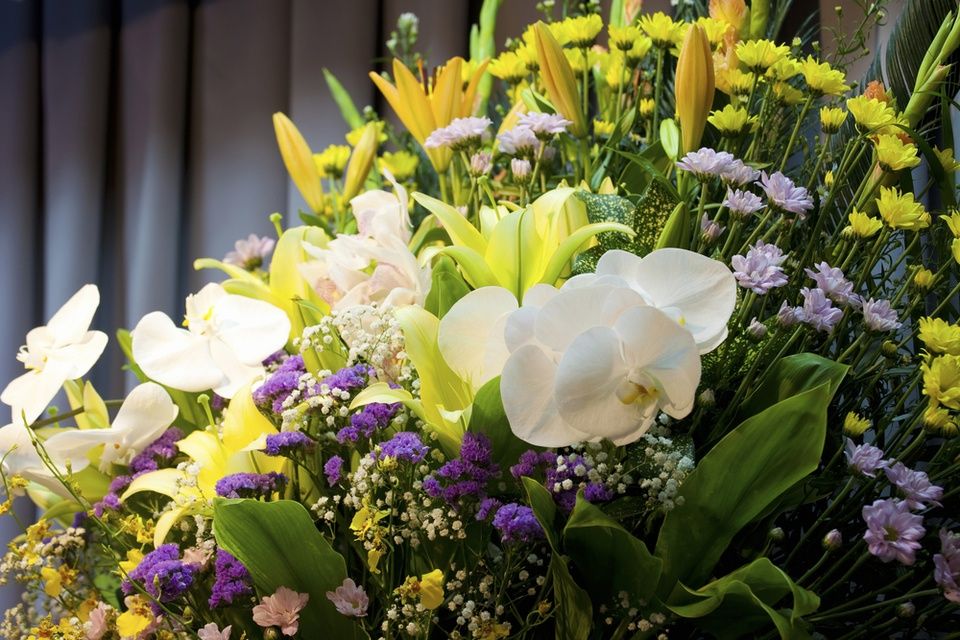 Flores
